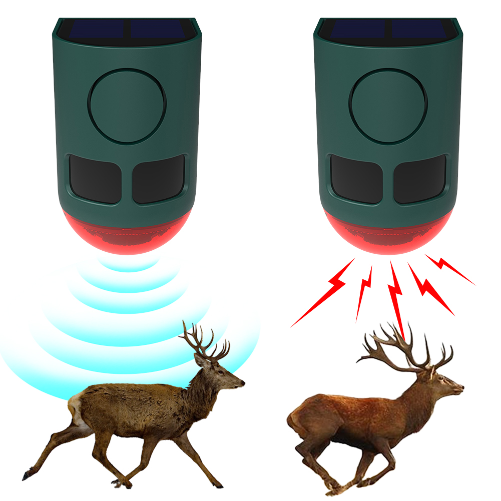 Solar Outdoor Motion Sensor Al - Home Security Lights Outdoors 리뷰 및 가격
