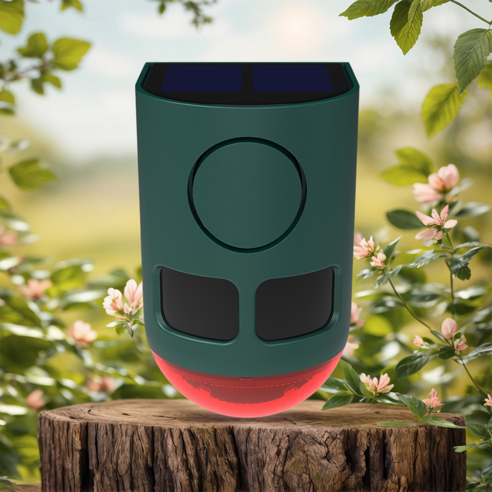 Solar Outdoor Motion Sensor Al - Home Security Lights Outdoors 리뷰 및 가격
