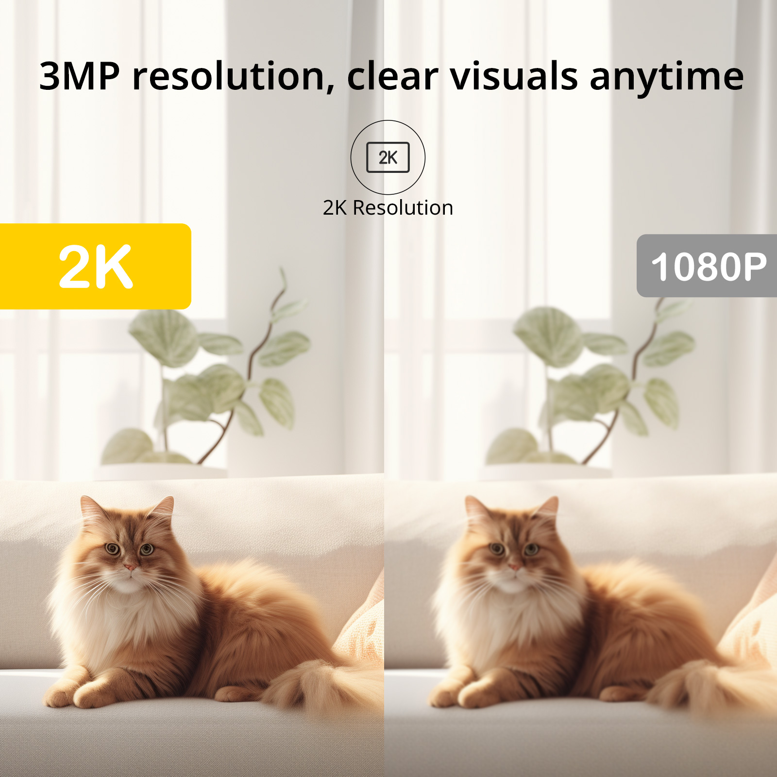 BoyKeep Surveillance Camera 3M - Home Security Video Systems 리뷰 및 가격