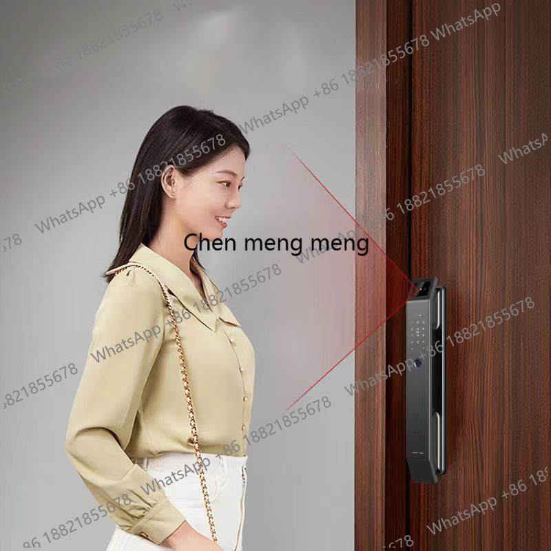 Tuya Wifi 3D Face Recognition  - Home Security No Wifi 리뷰 및 가격